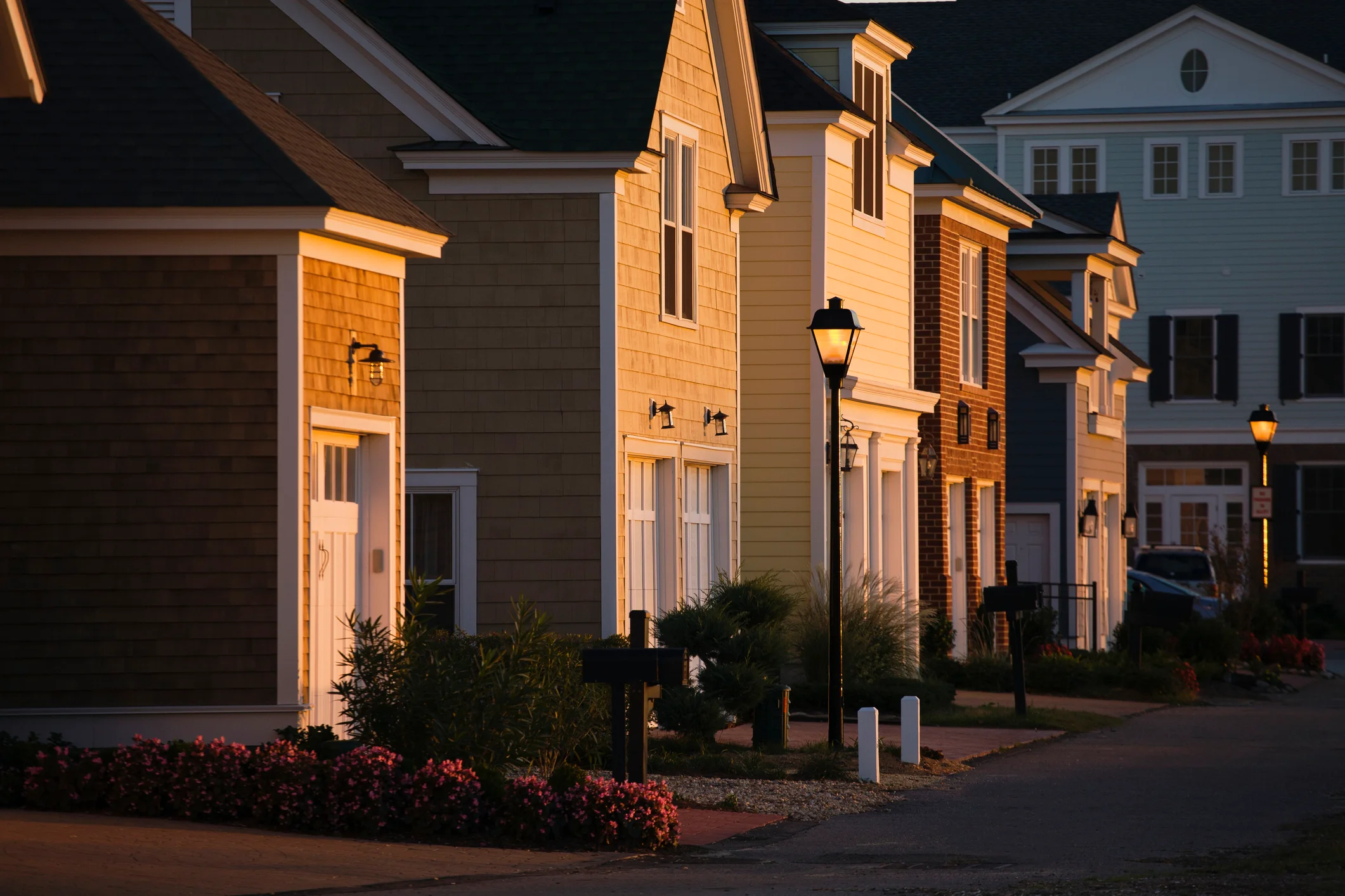 Peaceful American suburban neighborhood in golden afternoon light